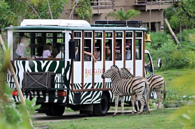 Sewa Mobil & Motor Transgo ke Taman Safari Bogor - Solusi Liburan Keluarga Tanpa Ribet