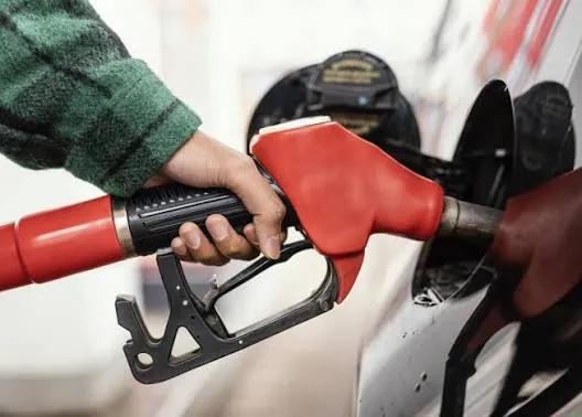 Sewa Mobil Mingguan Bogor: Solusi Hemat Rental Jangka Menengah untuk Liburan Panjang dan Penugasan Kerja